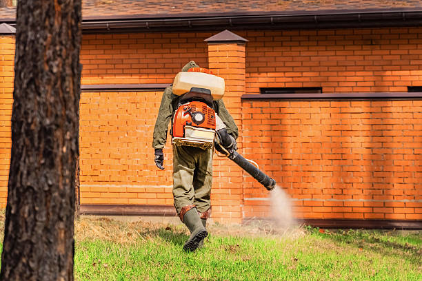 Trusted Mosquito Control service in Rothsville, PA - Nex Pest Control